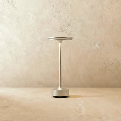 Modern Iron Art Table Lamp LED Light With Acrylic Shade – USB Rechargeable
